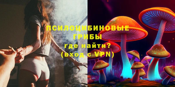 дживик Балахна